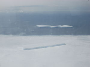 Icebergs floating free and iced-in