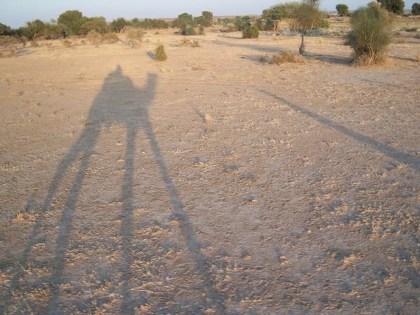 Dali of the Desert