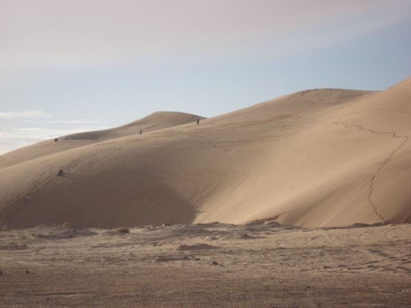 Las primeras dunas
