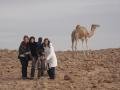 Nos cruzamos con los camellos