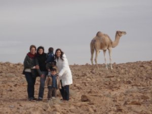 Nos cruzamos con los camellos