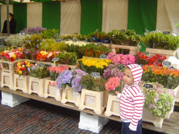 Feria de flores