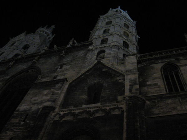St. Stephen's Cathedral in moonlight