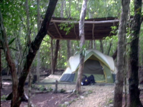Calakmul campement