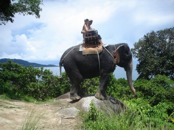 Elephant Trek In Phuket