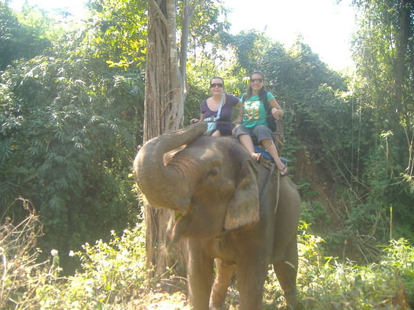 Elephant riding, Chiang Mai