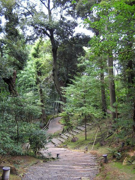 Trail at Kodaiji