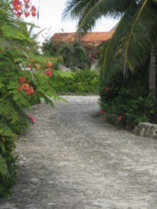 AKUMAL coral driveway