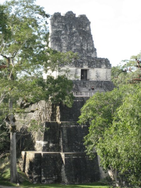 Tikal 147
