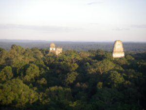 TIKAL view from Temple IV