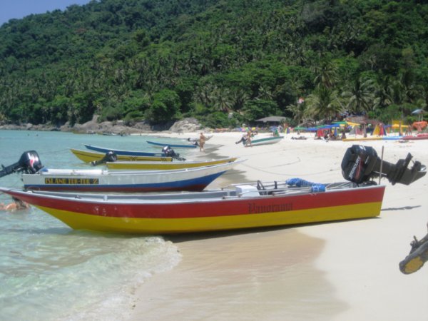 beautiful boats on beach - taxi anyone