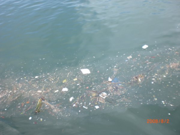 the distressing sight of garbage in Halong Bay