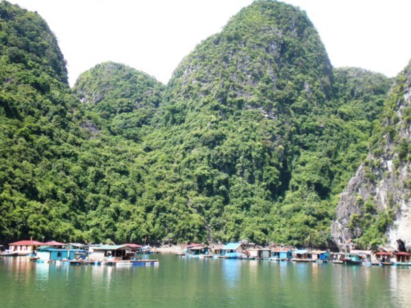 floating fishing village Halong Bay
