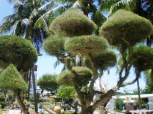 topiary in Nha Trang