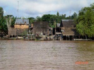 Mekong riverside homes