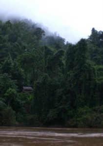 jungle shack on the Mekong