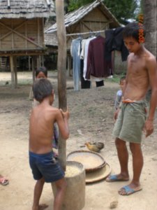 pounding rice at the village