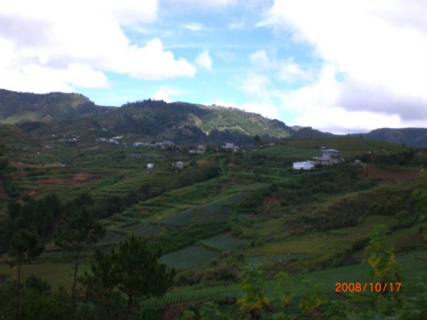 Cordillera terraces 2