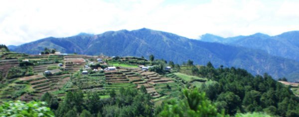 Cordillera terraces 4