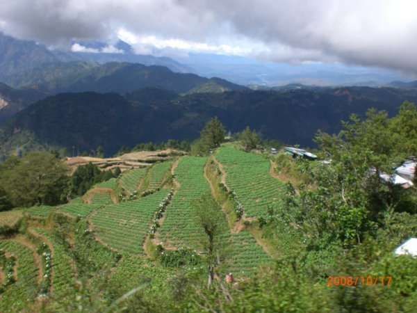 Cordillera terraces 5