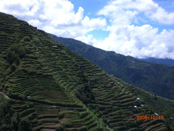 Cordillera terraces 7
