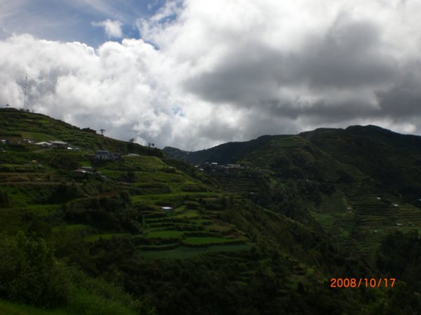 Cordillera terraces 9