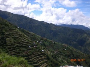 Cordillera terraces 6