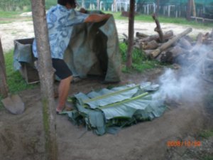 Cook Island cooking   -   an umu or earth oven - tradiional cooking