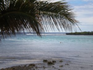 a Rarotonga view