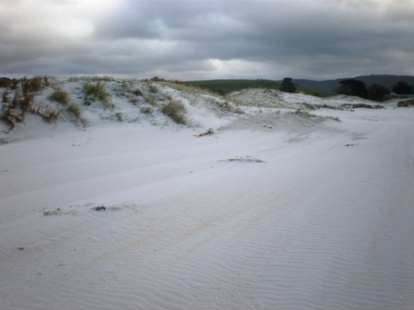 Pakiri and gorgeous sand dunes