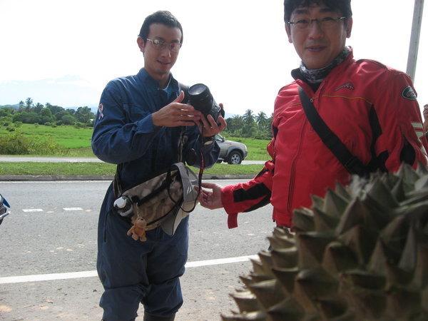 Durian testing