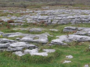 The limestone rocks that make up the Burren