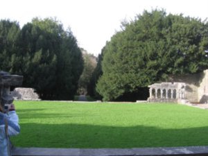 The grounds at Cong Abbey