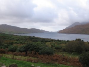 Just a typical view in Ireland