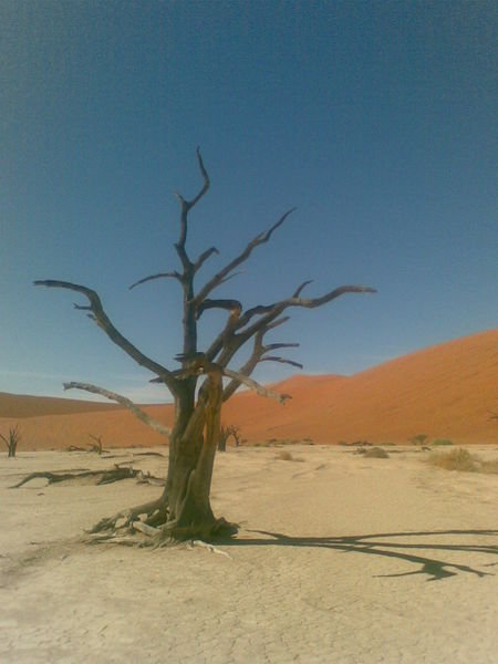 dead vlei, Namibia