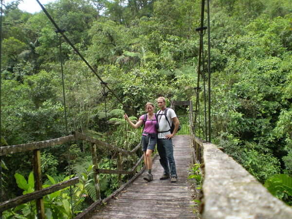 Podocarpus Nacional Parque