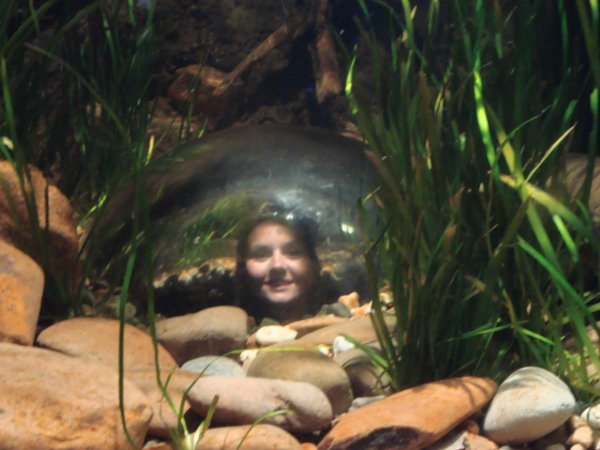 stuck in a air bubble at the aquarium!
