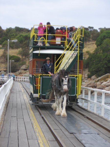 The horse and tram taking passengers over to granite Island.