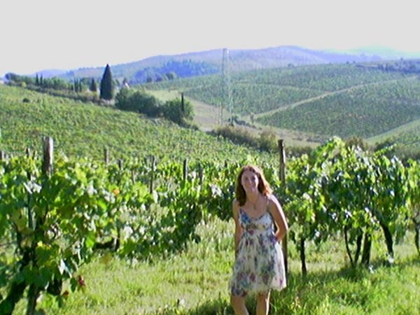 vinyards of the chianti region