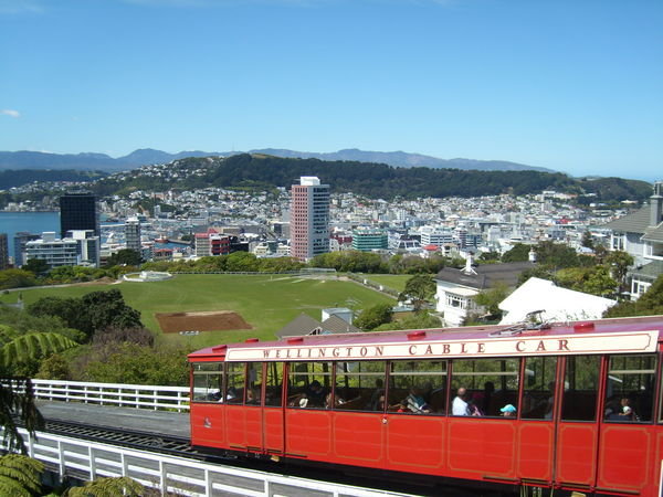 Views over Wellington