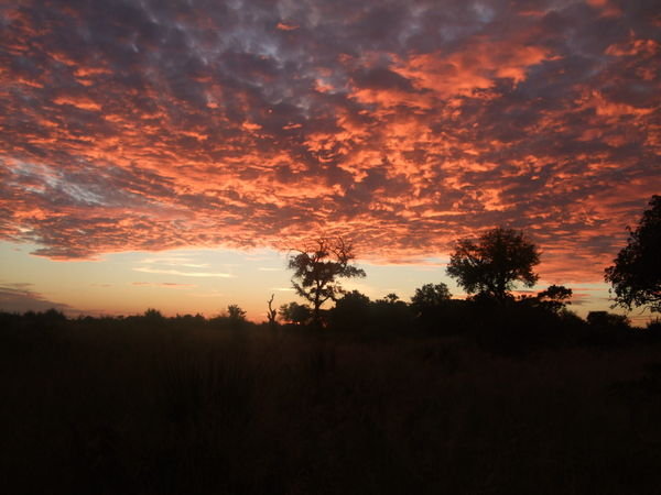 Another ridiculous African sunset