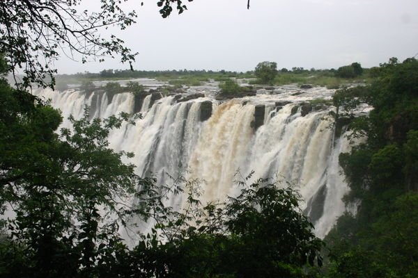 Our Only Picture of Victoria Falls
