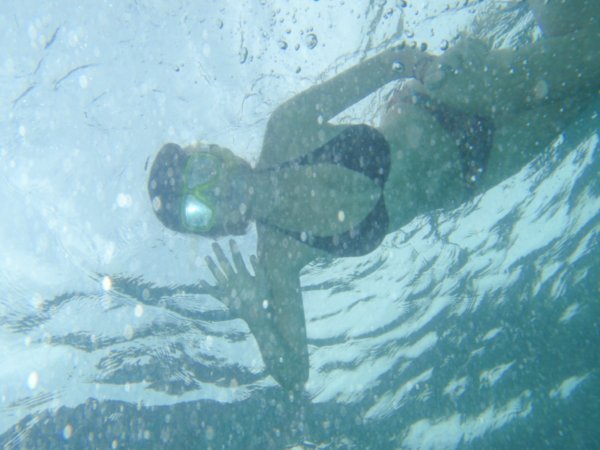 Have i mentioned my affinity for my underwater camera?
