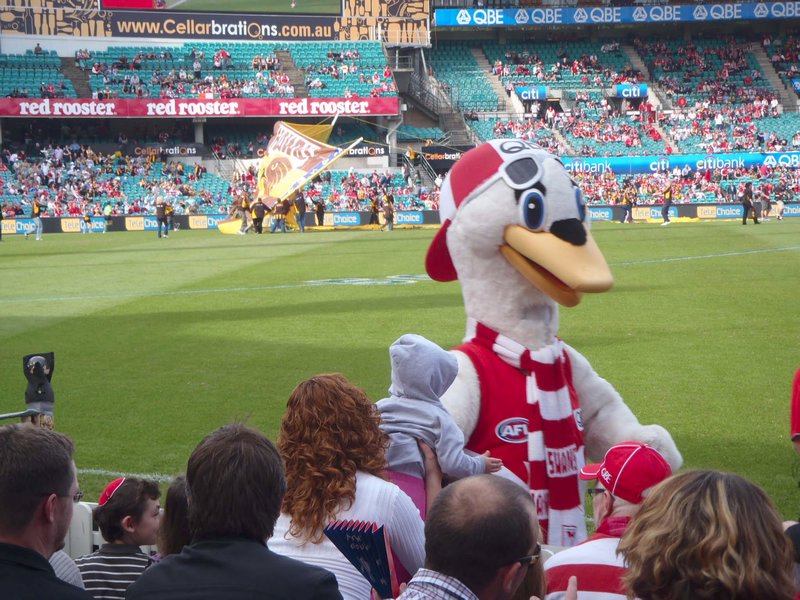 Swan at the Swans Match