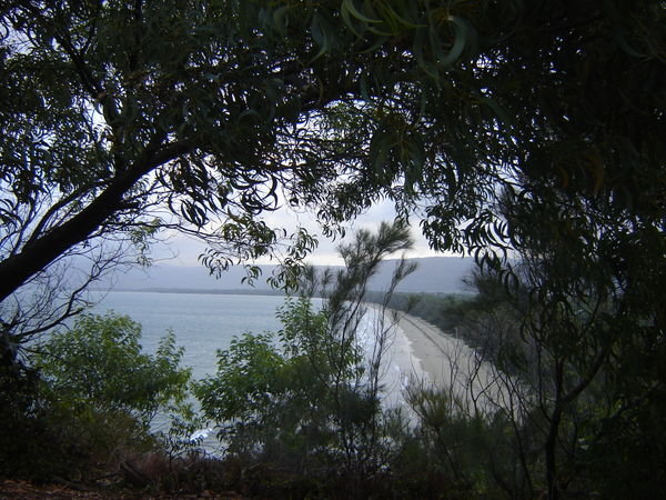 Blick auf den Strand von Port Douglas