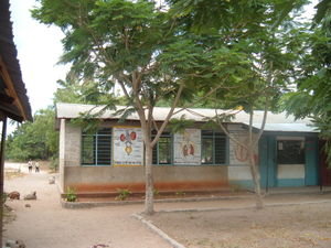 A Tanzanian School (1)