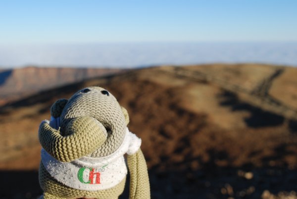 Chimp on a volcano summit
