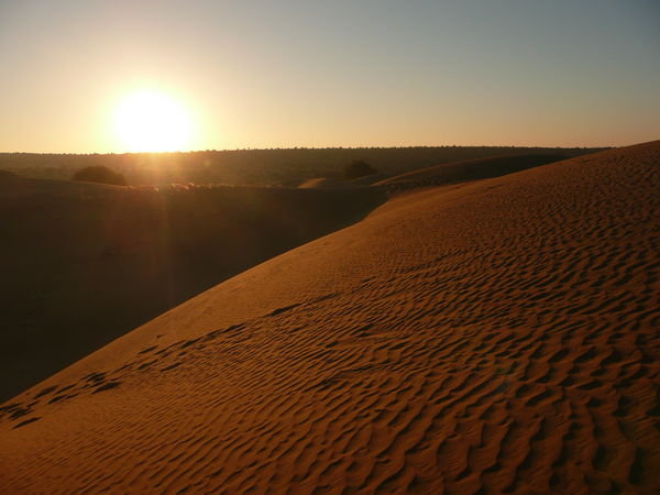 The Dunes at Sunrise