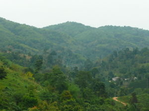 Another View From Akha Hill