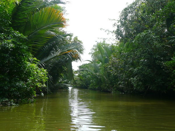Canals of the Mekong Delta